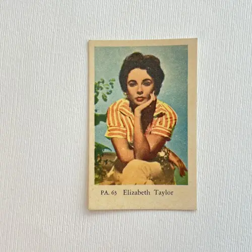 Elizabeth Taylor — 1958 PA #63