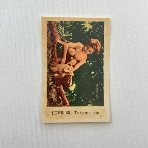 Tarzan's Son — 1962 TEVE #65