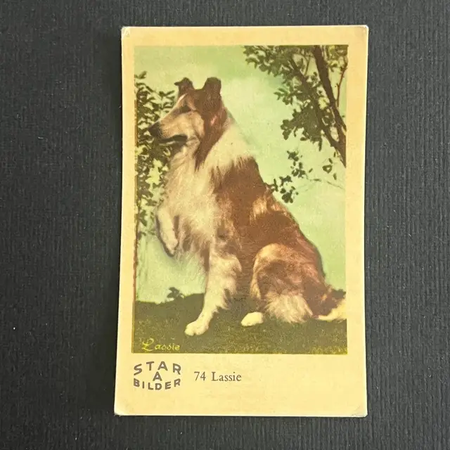 Lassie — 1962 Star Bilder A #74