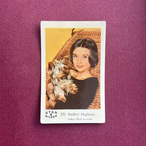 Audrey Hepburn — 1962 Star Bilder B #251