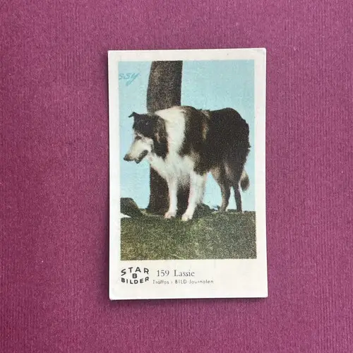 Lassie — 1962 Star Bilder B #159