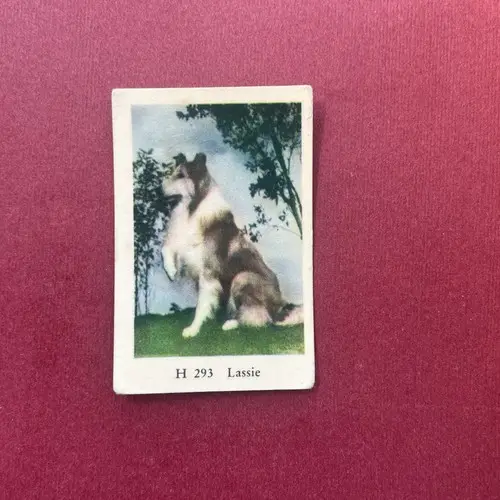 Lassie — 1961 H #293