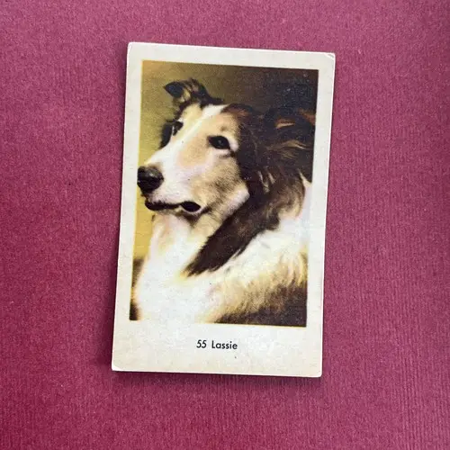 Lassie — 1964 Små nummer till vänster, tjockare papp #55