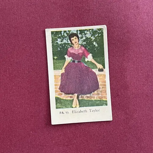 Elizabeth Taylor — 1958 PA #53