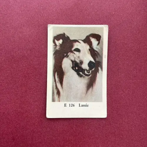 Lassie — 1962 E #126