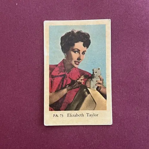 Elizabeth Taylor — 1958 PA #73
