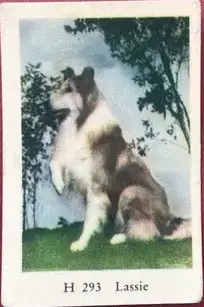 Lassie — 1961 H #293