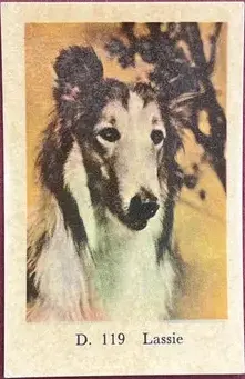 Lassie — 1961 D #119