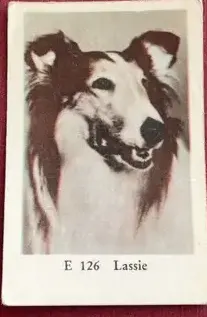 Lassie — 1962 E Set (Straight Letters) #106