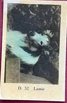Lassie — 1961 D #52