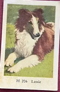 Lassie — 1961 H #206