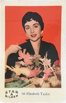 Elizabeth Taylor — 1962 Star Bilder A #66