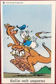 Donald Duck — 1963-73 Disney Set Unnumbered