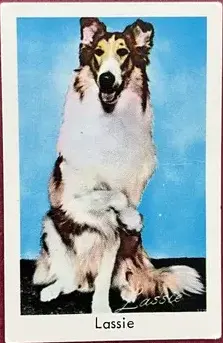 Lassie 1966-68 Popbilder Unnumbered Series Trading Card
