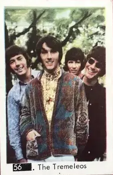 The Tremeloes — 1967 Number in Black Box Set #56