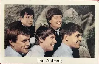 The Animals — 1966-68 Popbilder Unnumbered Series