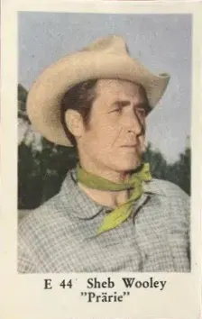 Sheb Wooley — 1962 E Set (Straight Letters) #44