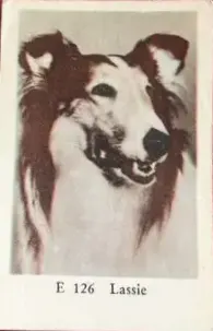 Lassie — 1962 E Set (Straight Letters) #106