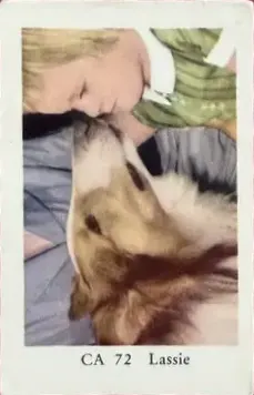 Lassie — 1962 CA Set #72