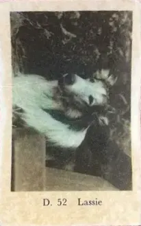 Lassie — 1961 D Plain Text Set #52
