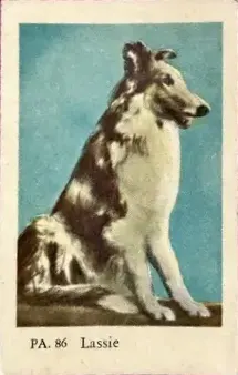 Lassie — 1958 PA Set #86
