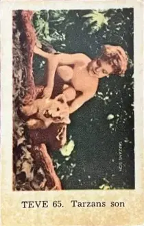 Tarzan's Son — 1962 TEVE Set #65