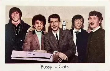Pussi-cats — 1966-68 Popbilder Unnumbered Series